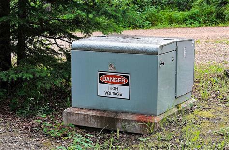 electrical green box|green electrical box in yard.